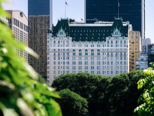 The Plaza Hotel — Photo 3