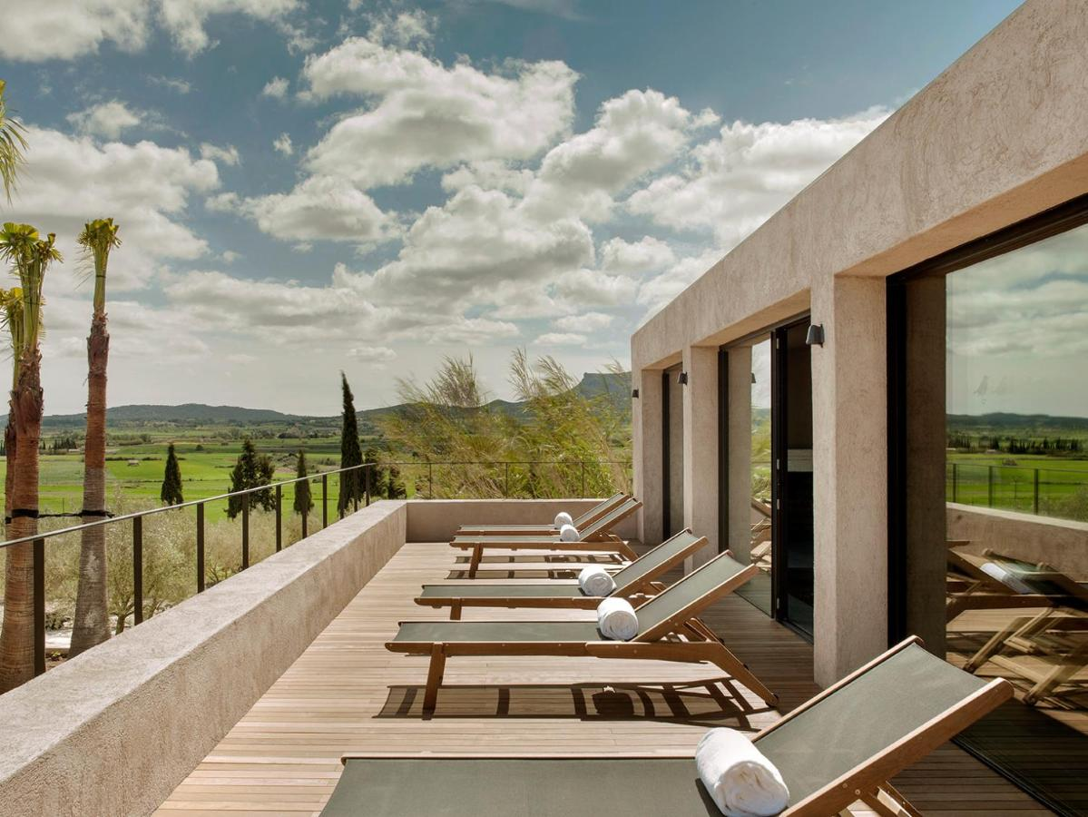 Finca Serena Mallorca modern spa terrace with sun loungers, palm trees, Mallorcan countryside views