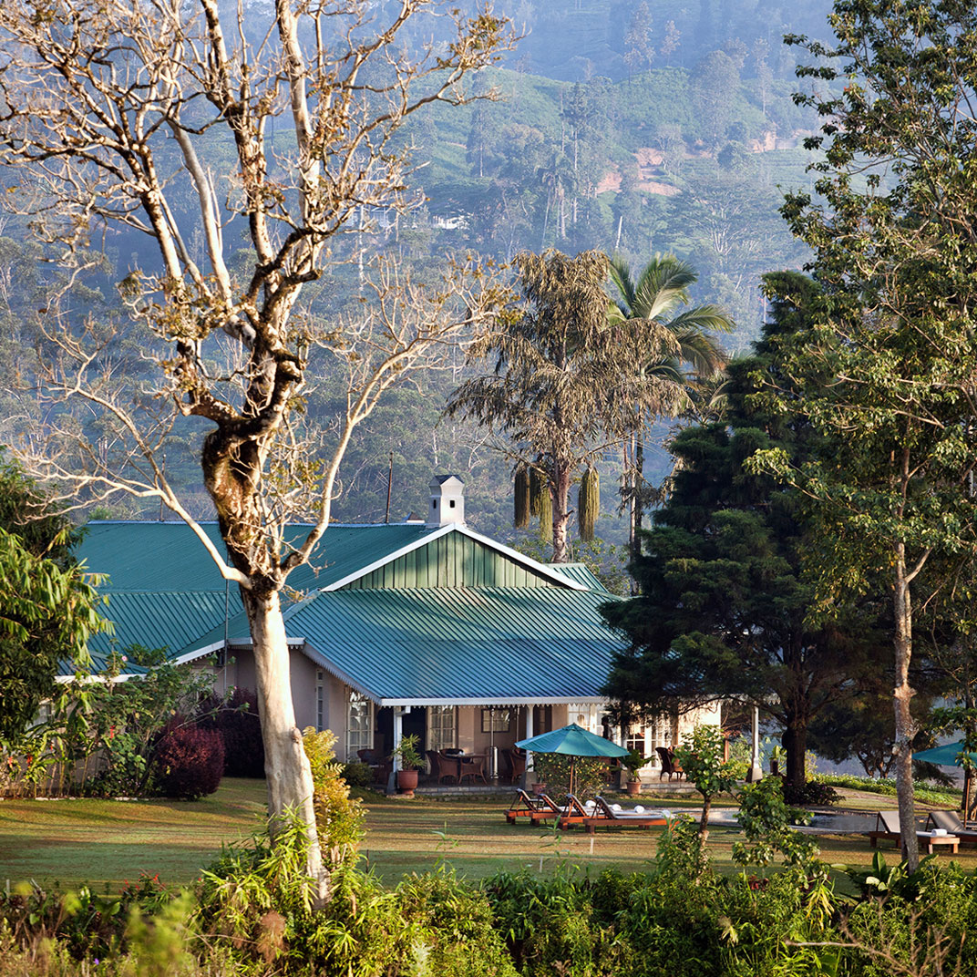 Ceylon Tea Trails — Photo 2