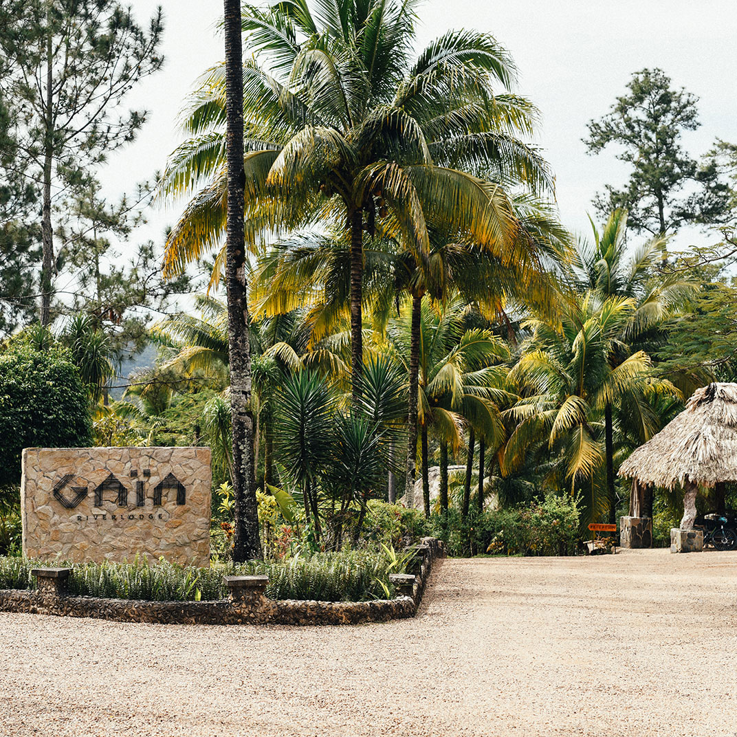Gaia River Lodge — Photo 3