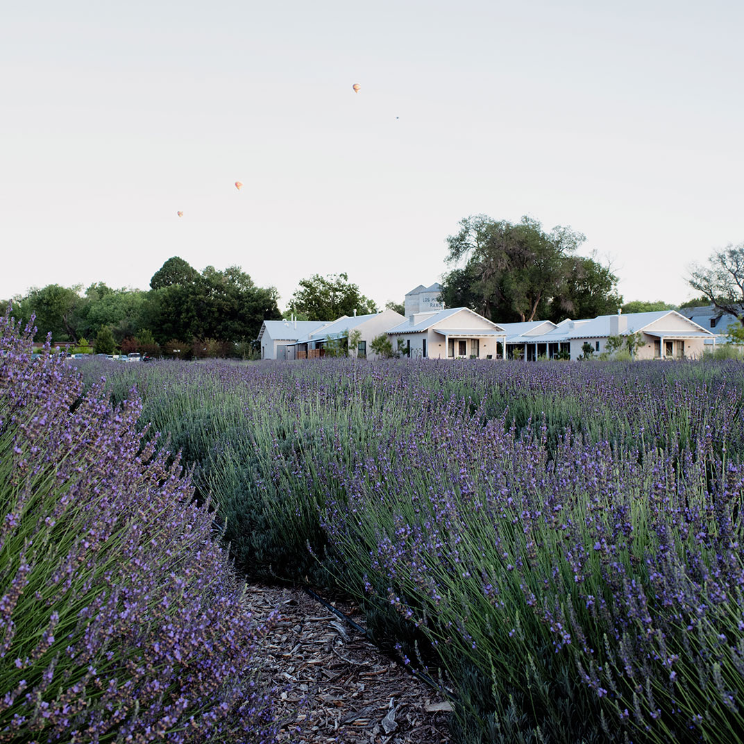 Los Poblanos Historic Inn & Organic Farm — Photo 2