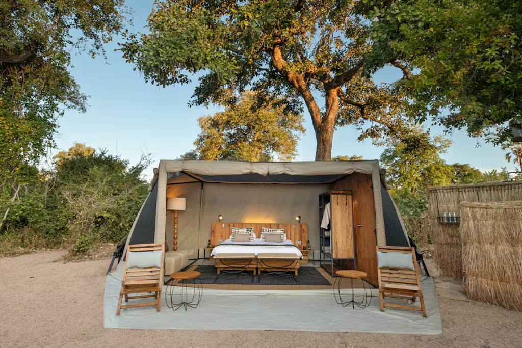 Mbamba Camp Okavango Delta open-fronted canvas tent with king bed, teak furniture, under acacia tree