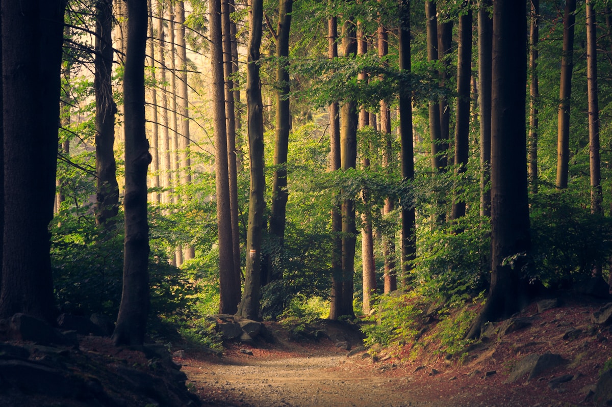 Best Eco Hotels on a Budget