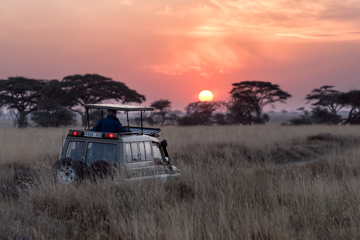 Best Safari Lodges