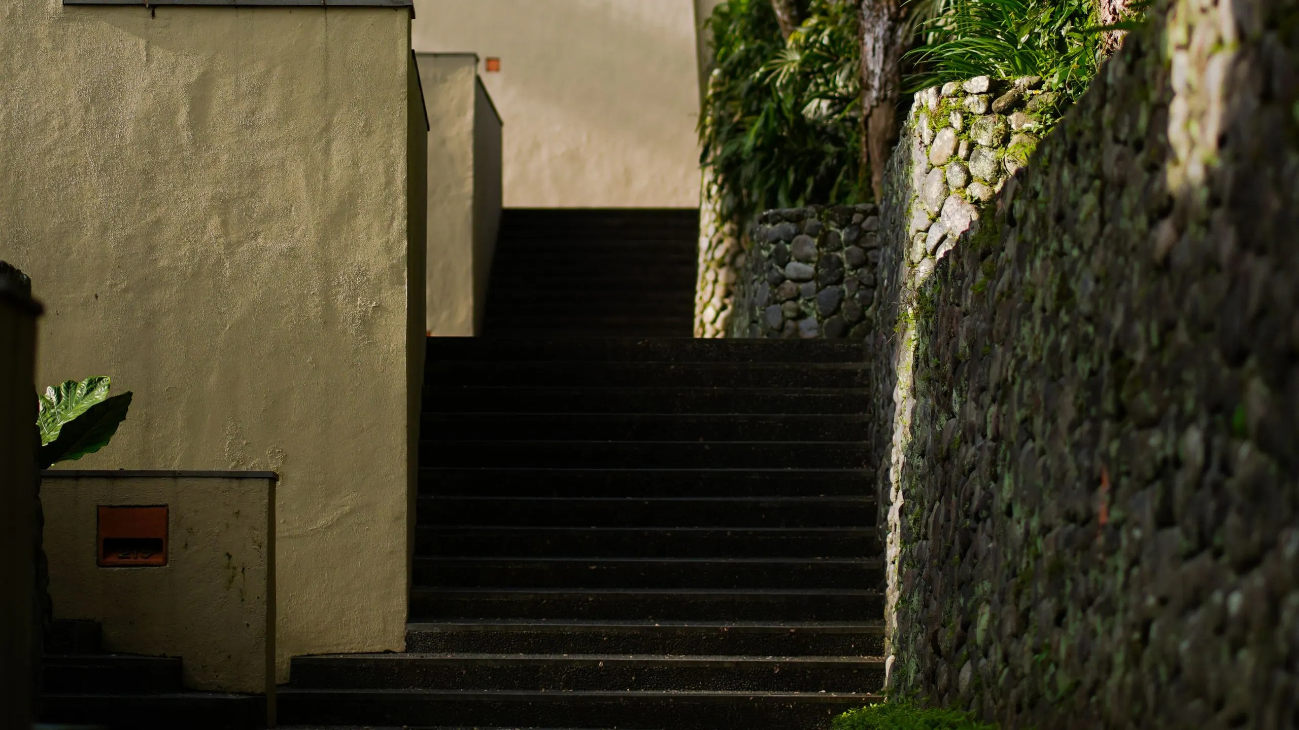 Alila Ubud — Photo 2