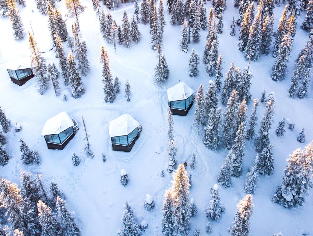 Magical Pond Nature Igloos — Photo 4